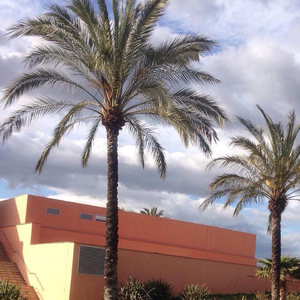 影音先锋2017av资源
