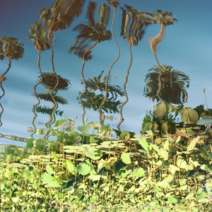 影音先锋2017av资源
