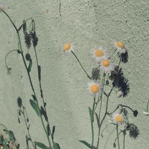 影音先锋2017av资源
